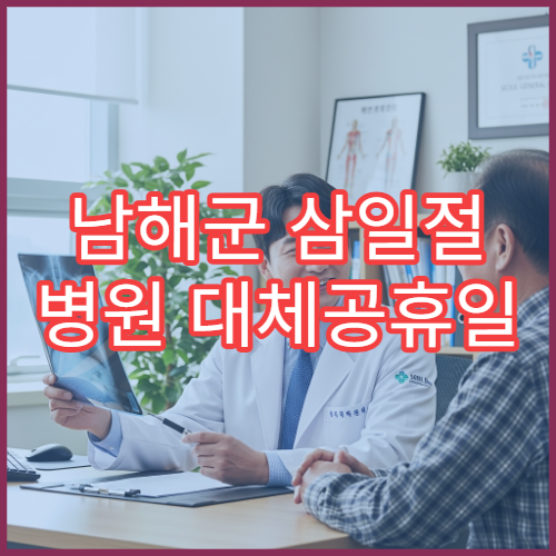 남해군 삼일절 병원 대체공휴일 연휴 진료 병원 정보