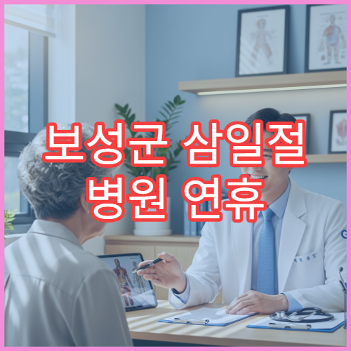 보성군 삼일절 병원 연휴 진료 병원 대체공휴일 운영 정보