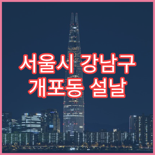 서울시 강남구 개포동 설날 명절 류마티스내과 연휴 진료 병원 관절염·만성 통증 상담 가능