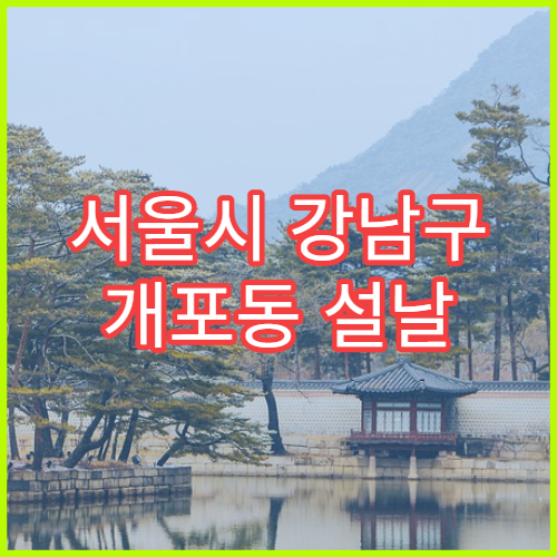 서울시 강남구 개포동 설날 명절 비뇨의학과 연휴 진료 병원 요로결석·전립선염 치료