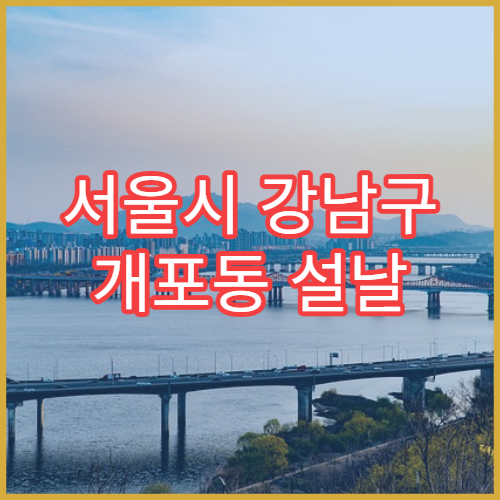 서울시 강남구 개포동 설날 명절 산부인과 연휴 진료 병원 분만·자궁출혈 응급 대처