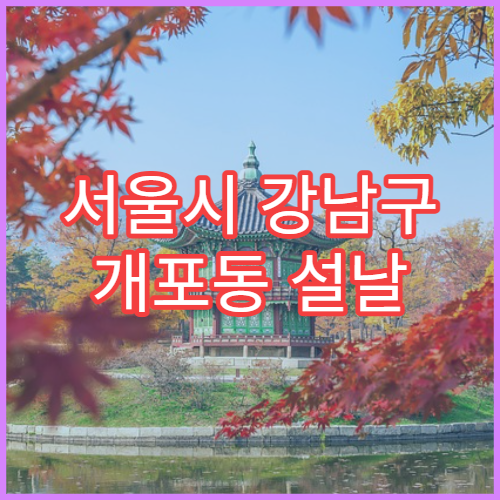 서울시 강남구 개포동 설날 명절 안과 연휴 진료 병원 결막염·시력저하 상담 가능