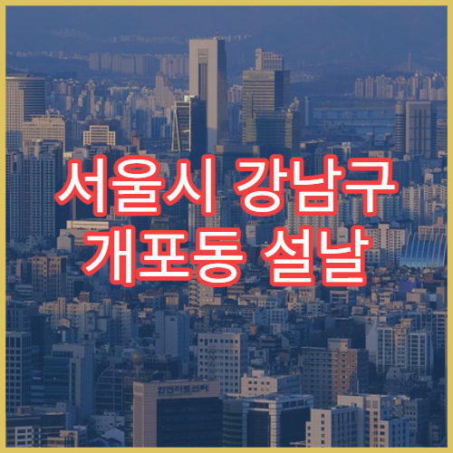 서울시 강남구 개포동 설날 명절 피부과 연휴 진료 병원 아토피·습진 치료 상담 가능