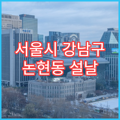 서울시 강남구 논현동 설날 명절 류마티스내과 연휴 진료 병원 관절염·만성 통증 상담 가능