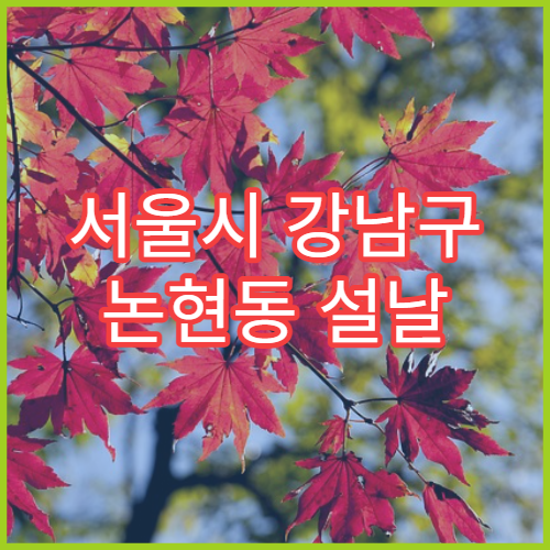 서울시 강남구 논현동 설날 명절 소아과 연휴 진료 병원 발열·설사 영유아 응급 진료