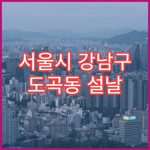 서울시 강남구 도곡동 설날 명절 내과 연휴 진료 병원 고혈압·당뇨 응급 관리 가능