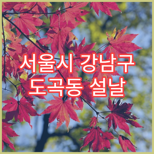 서울시 강남구 도곡동 설날 명절 응급의학과 연휴 진료 병원 심장·뇌 응급 상황 대처