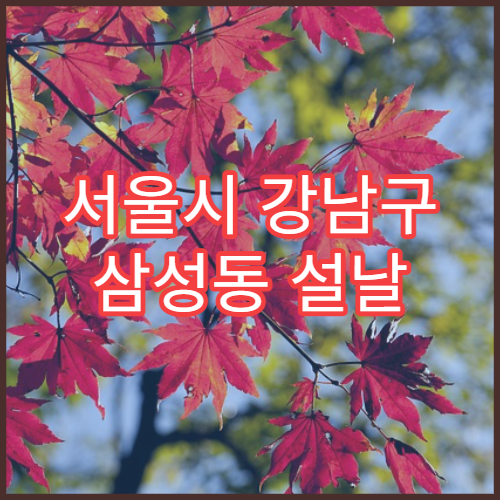 서울시 강남구 삼성동 설날 명절 가정의학과 연휴 진료 병원 발열·복통 종합 진료