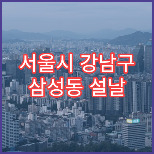 서울시 강남구 삼성동 설날 명절 산부인과 연휴 진료 병원 분만·자궁출혈 응급 대처