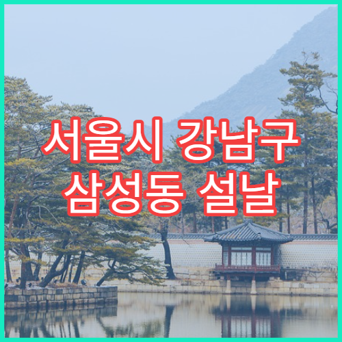 서울시 강남구 삼성동 설날 명절 이비인후과 연휴 진료 병원 코감기·인후통 상담 가능