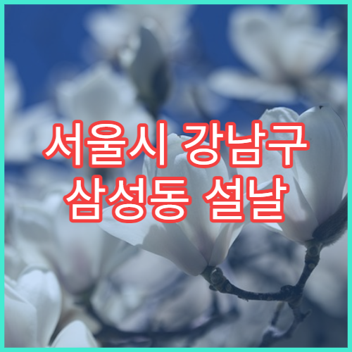 서울시 강남구 삼성동 설날 명절 정형외과 연휴 진료 병원 관절염·근육통 치료 가능
