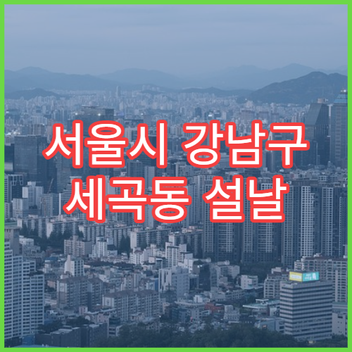 서울시 강남구 세곡동 설날 명절 이비인후과 연휴 진료 병원 코감기·인후통 상담 가능