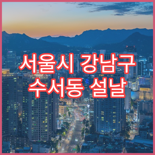 서울시 강남구 수서동 설날 명절 소아과 연휴 진료 병원 발열·설사 영유아 응급 진료