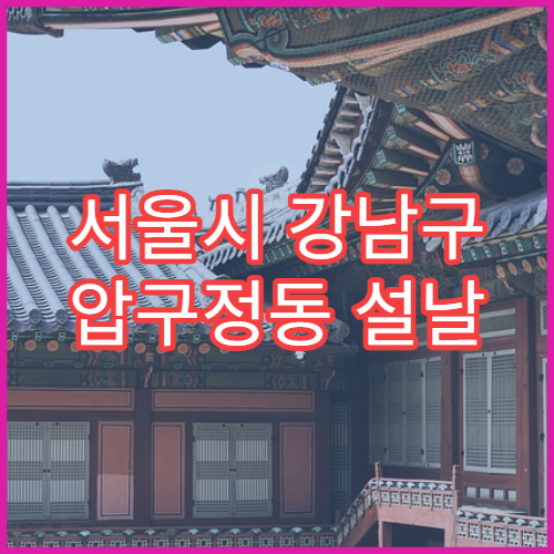 서울시 강남구 압구정동 설날 명절 이비인후과 연휴 진료 병원 코감기·인후통 상담 가능