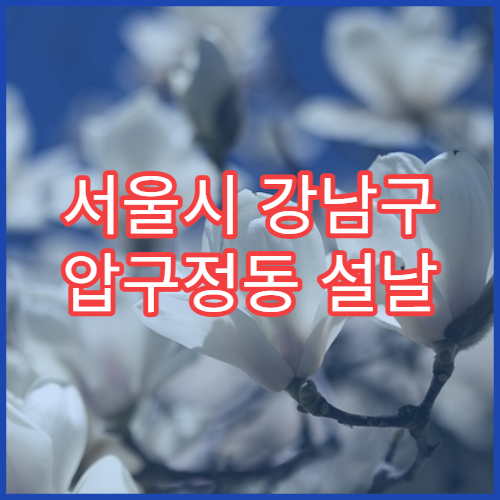 서울시 강남구 압구정동 설날 명절 정형외과 연휴 진료 병원 관절염·근육통 치료 가능