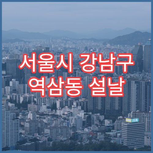 서울시 강남구 역삼동 설날 명절 류마티스내과 연휴 진료 병원 관절염·만성 통증 상담 가능