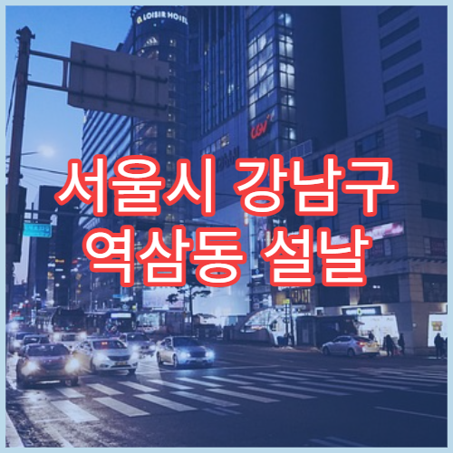 서울시 강남구 역삼동 설날 명절 이비인후과 연휴 진료 병원 코감기·인후통 상담 가능