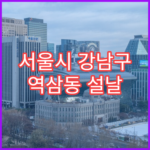 서울시 강남구 역삼동 설날 명절 피부과 연휴 진료 병원 아토피·습진 치료 상담 가능