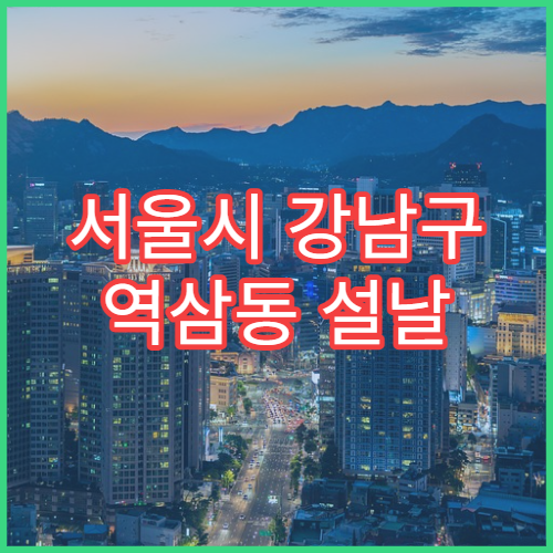 서울시 강남구 역삼동 설날 명절 한의원 연휴 진료 병원 근육통·소화불량 침 치료