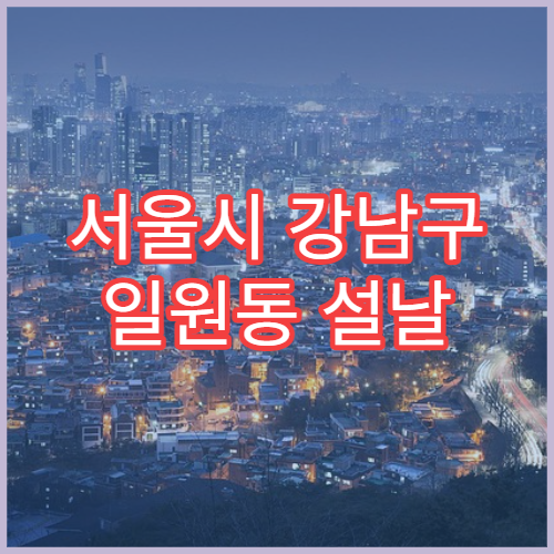 서울시 강남구 일원동 설날 명절 가정의학과 연휴 진료 병원 발열·복통 종합 진료