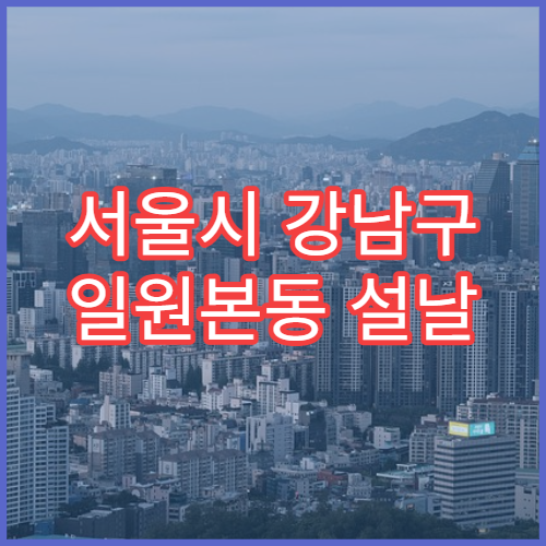 서울시 강남구 일원본동 설날 명절 류마티스내과 연휴 진료 병원 관절염·만성 통증 상담 가능