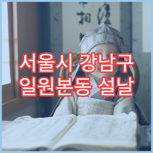 서울시 강남구 일원본동 설날 명절 응급의학과 연휴 진료 병원 심장·뇌 응급 상황 대처