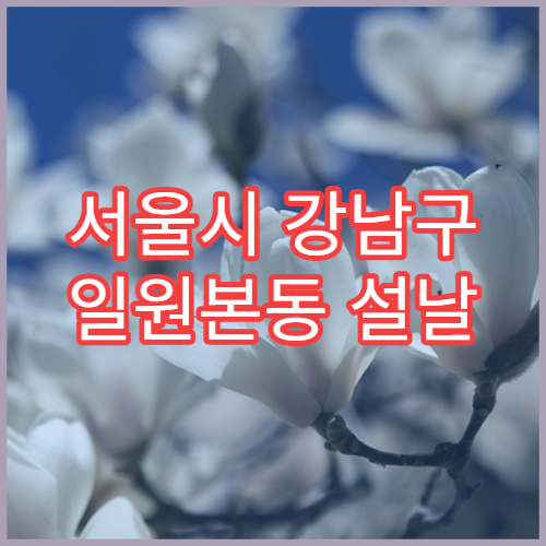 서울시 강남구 일원본동 설날 명절 이비인후과 연휴 진료 병원 코감기·인후통 상담 가능