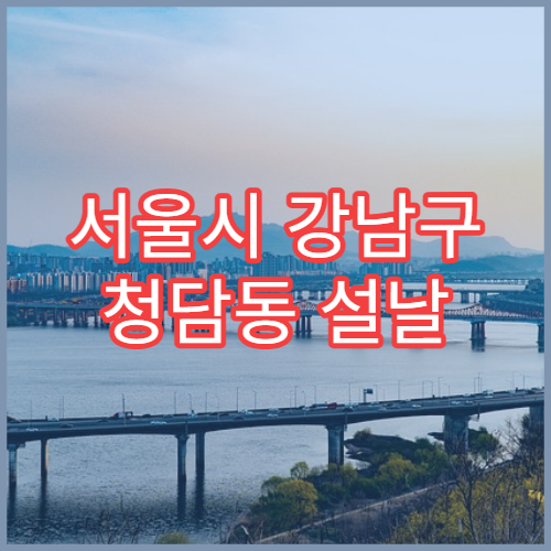 서울시 강남구 청담동 설날 명절 산부인과 연휴 진료 병원 분만·자궁출혈 응급 대처