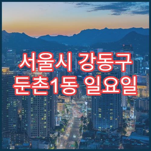 서울시 강동구 둔촌1동 일요일 당직 약국 비타민·영양제 구입 가능