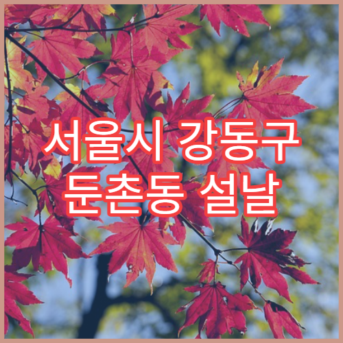 서울시 강동구 둔촌동 설날 명절 이비인후과 연휴 진료 병원 인후통·콧물·기침 감기 상담