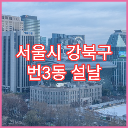 서울시 강북구 번3동 설날 명절 약국 연휴 영업 항생제·눈약 판매 가능
