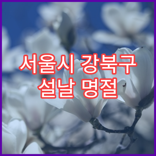 서울시 강북구 설날 명절 이비인후과 연휴 진료 코감기·인후통 상담 가능