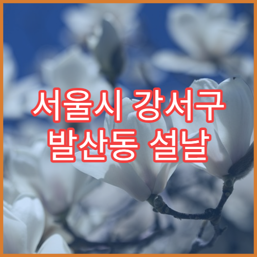 서울시 강서구 발산동 설날 명절 정형외과 연휴 진료 병원 무릎통증·근골격