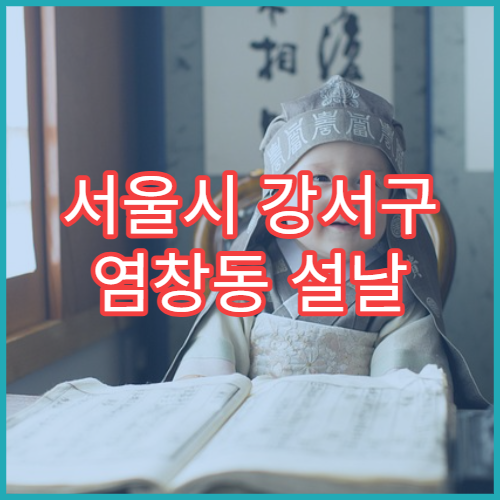 서울시 강서구 염창동 설날 명절 산부인과 진료 병원 자궁통·피임 상담