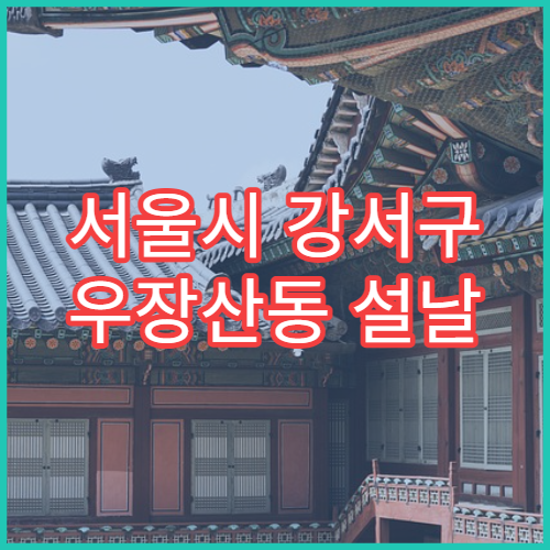 서울시 강서구 우장산동 설날 명절 산부인과 연휴 병원 월경통·난소낭종 상담
