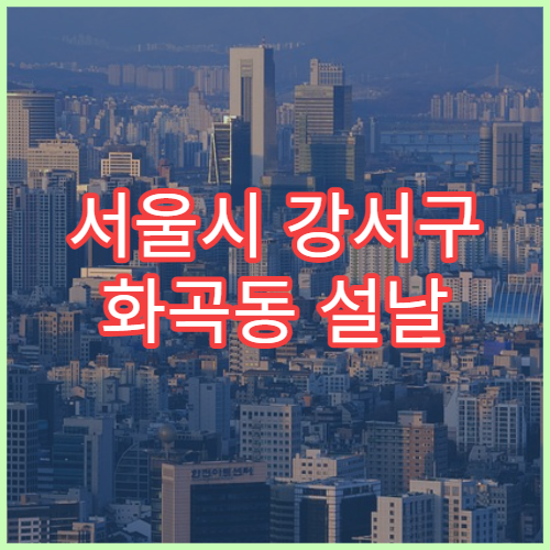 서울시 강서구 화곡동 설날 명절 피부과 연휴 진료 병원 백반증·주사 치료
