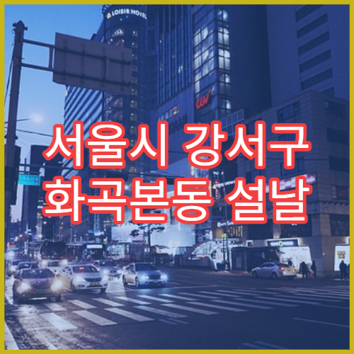 서울시 강서구 화곡본동 설날 명절 내과 연휴 진료 병원 심장·폐 질환 관리