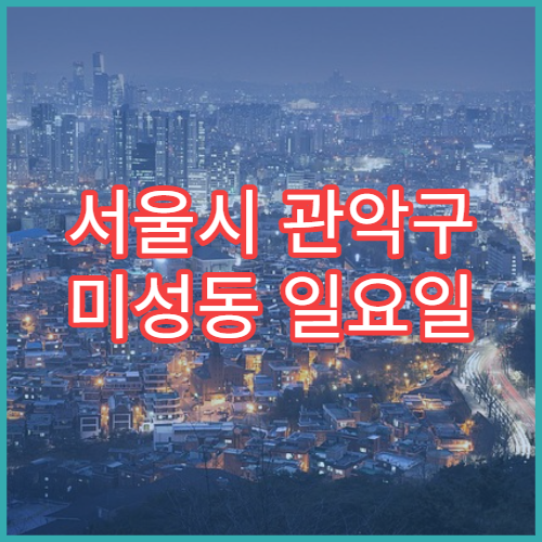 서울시 관악구 미성동 일요일 영업 약국 비염약·알레르기약 판매