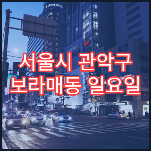 서울시 관악구 보라매동 일요일 문 여는 약국 소염진통제·근육통 약 구매