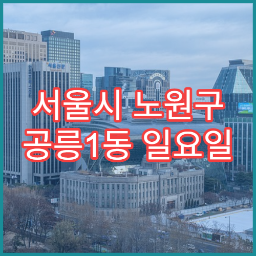 서울시 노원구 공릉1동 일요일 문 여는 약국 감기약·해열제 구매 가능