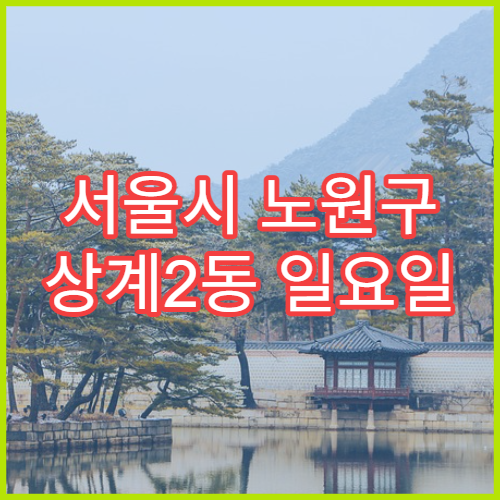 서울시 노원구 상계2동 일요일 문 여는 약국 어린이 감기약·해열제 판매