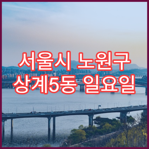 서울시 노원구 상계5동 일요일 영업 약국 비염약·콧물약 상담 안내