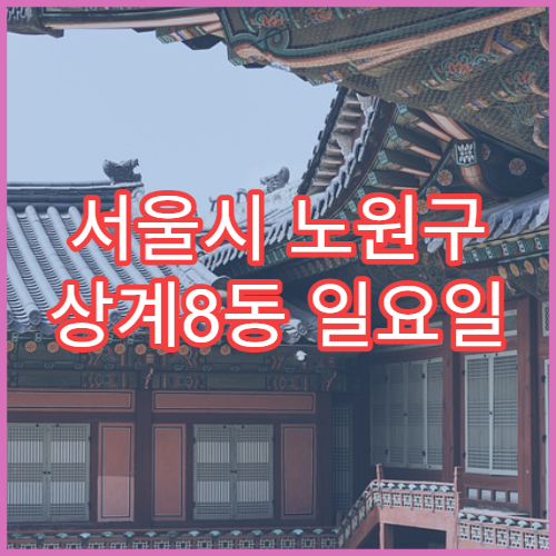 서울시 노원구 상계8동 일요일 당번약국 장염약·복통약 구매 가능