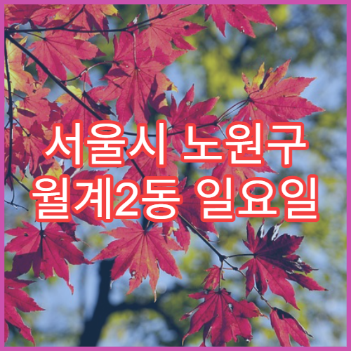 서울시 노원구 월계2동 일요일 영업 약국 상비약·비타민 구입 가능