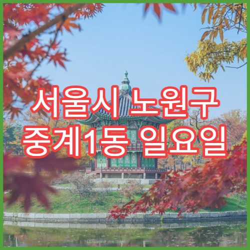 서울시 노원구 중계1동 일요일 영업 약국 감기몸살약·해열제 판매