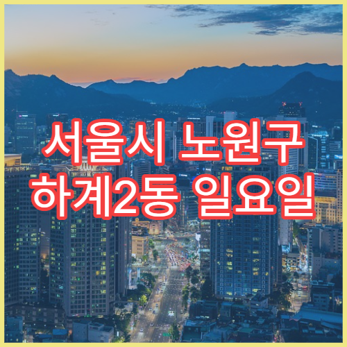 서울시 노원구 하계2동 일요일 문 여는 약국 어린이 약 조제 가능