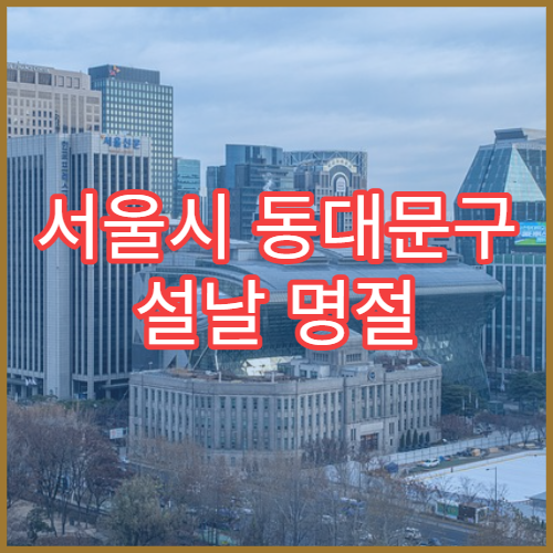 서울시 동대문구 설날 명절 산부인과 연휴 진료 병원 월경통·임신 초기 상담