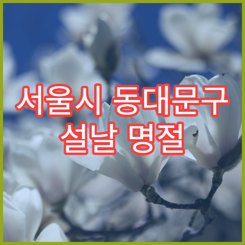 서울시 동대문구 설날 명절 피부과 연휴 진료 병원 여드름·아토피 피부 관리