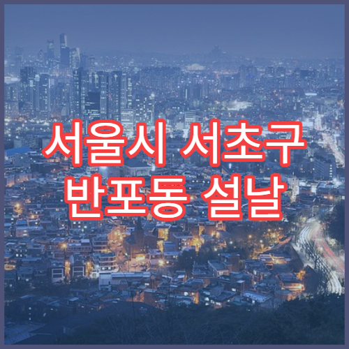 서울시 서초구 반포동 설날 당직약국 영업 현황 한눈에 보기 응급약 구매 가능