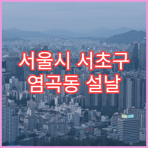 서울시 서초구 염곡동 설날 문 여는 약국 영업시간 정보 근처 주민 필수